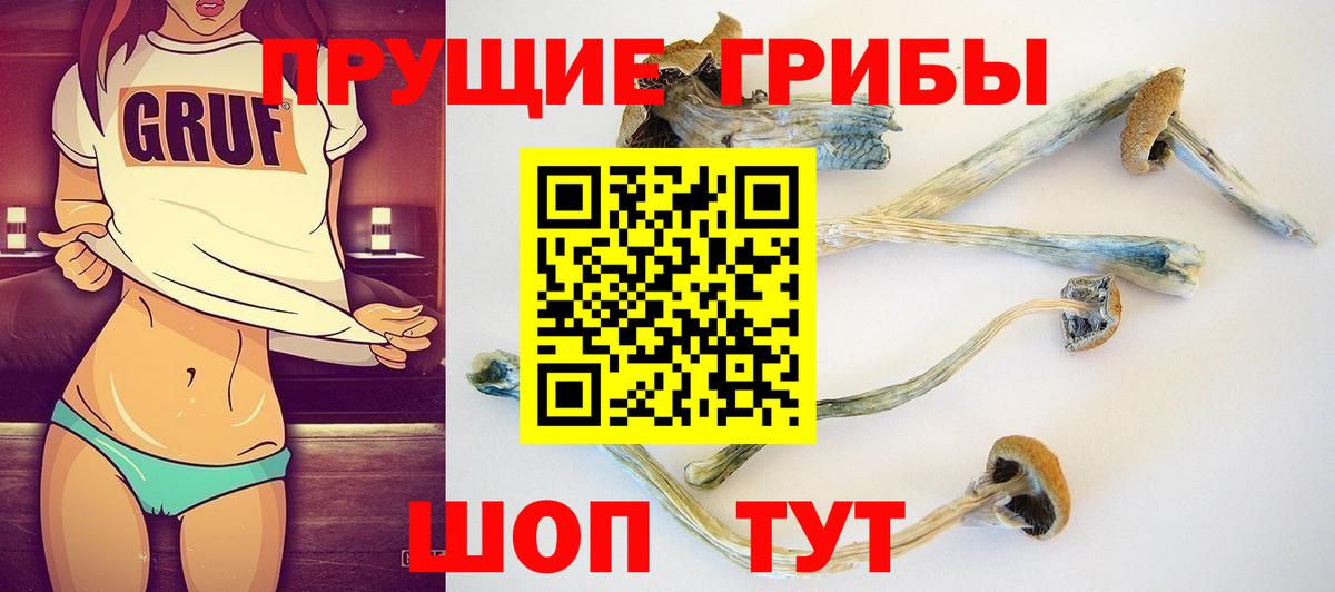 Галлюциногенные грибы Psilocybine cubensis  Вход с VPN  Галлюциногенные грибы ЛСД  купить  сайты  Карабулак 